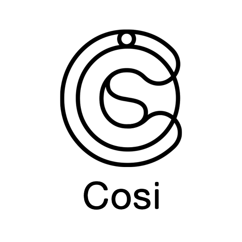 cosiapp-lanuitduhandicap